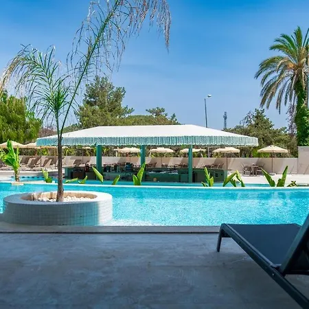 Mida At 222 Fethiye